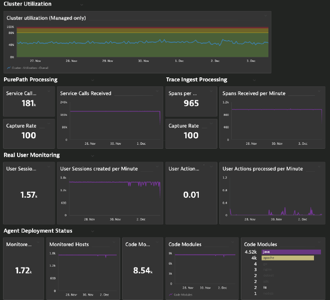 Cluster Utilization Dynatrace Managed